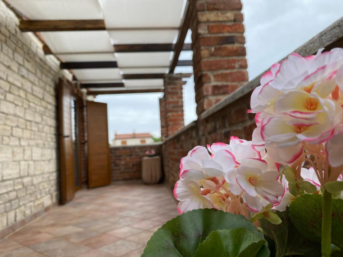Nyaraló Paradise Cassonni Istria 4 Stars